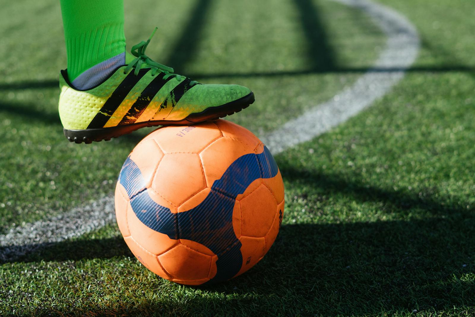 齐氏彩票 · 赛场